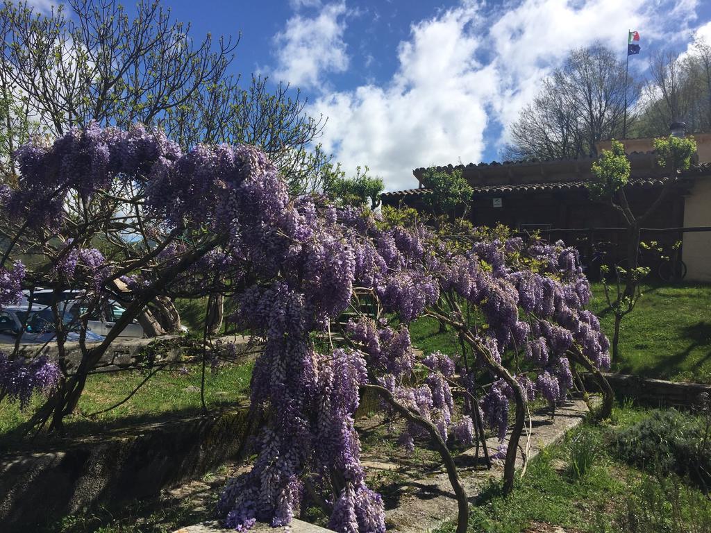 Agriturismo La Ferraia 피아넬로 외부 사진