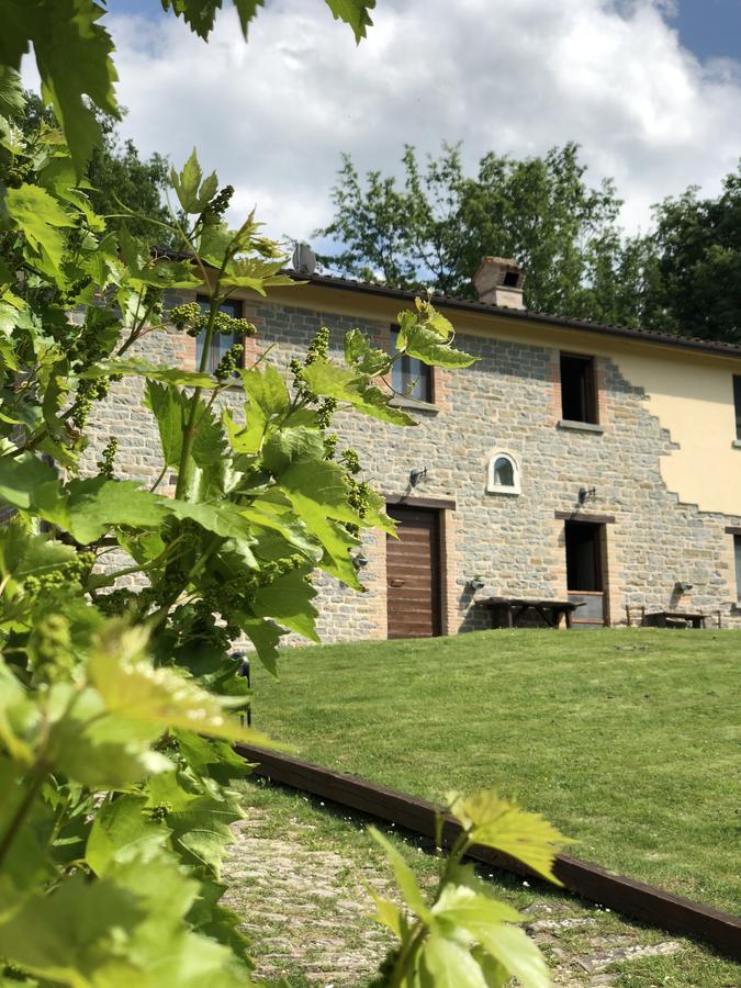 Agriturismo La Ferraia 피아넬로 외부 사진