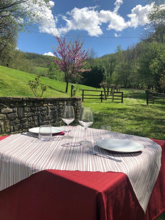 Agriturismo La Ferraia 피아넬로 외부 사진